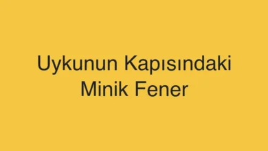 Uykunun Kapısındaki Minik Fener
