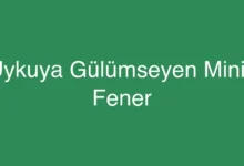 Uykuya Gülümseyen Minik Fener