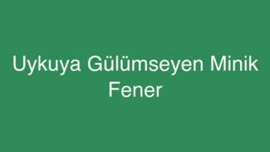 Uykuya Gülümseyen Minik Fener
