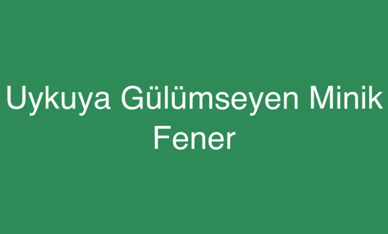 Uykuya Gülümseyen Minik Fener