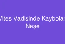 Vites Vadisinde Kaybolan Neşe