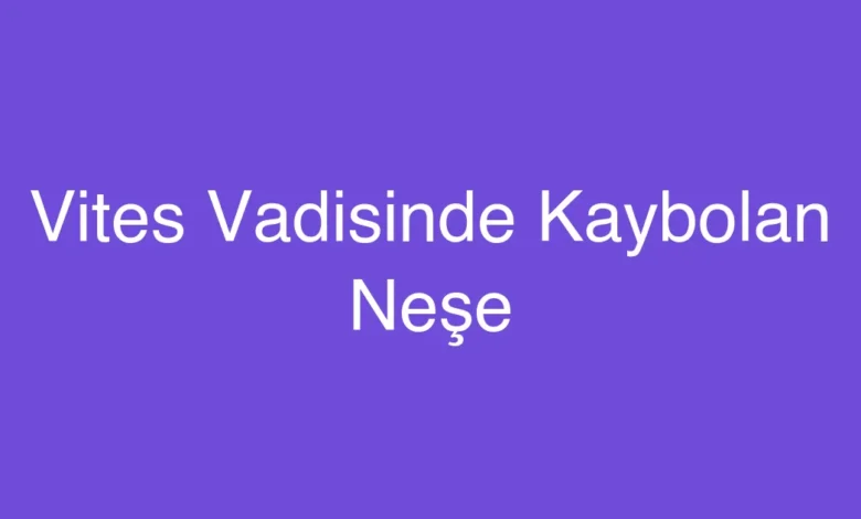 Vites Vadisinde Kaybolan Neşe