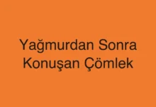 Yağmurdan Sonra Konuşan Çömlek