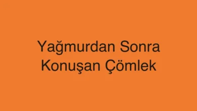 Yağmurdan Sonra Konuşan Çömlek