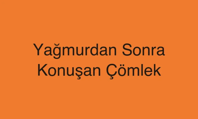 Yağmurdan Sonra Konuşan Çömlek