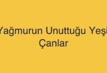 Yağmurun Unuttuğu Yeşil Çanlar