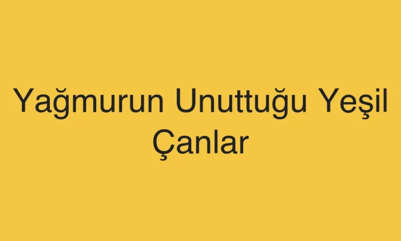 Yağmurun Unuttuğu Yeşil Çanlar