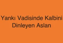 Yankı Vadisinde Kalbini Dinleyen Aslan