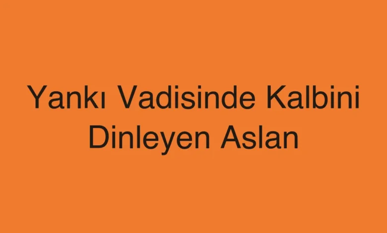 Yankı Vadisinde Kalbini Dinleyen Aslan