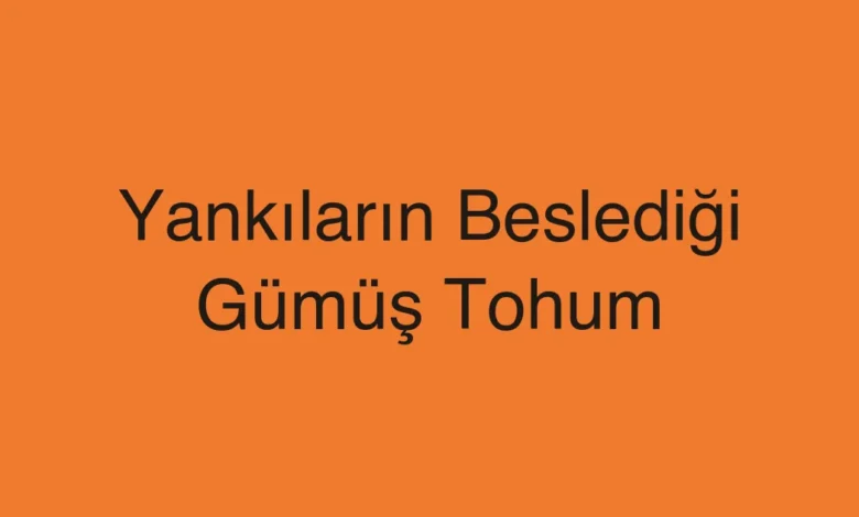 Yankıların Beslediği Gümüş Tohum