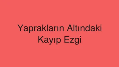Yaprakların Altındaki Kayıp Ezgi
