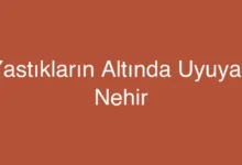 Yastıkların Altında Uyuyan Nehir