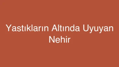 Yastıkların Altında Uyuyan Nehir