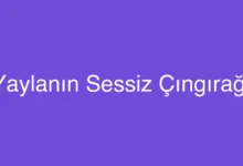 Yaylanın Sessiz Çıngırağı
