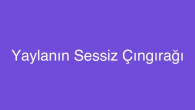 Yaylanın Sessiz Çıngırağı