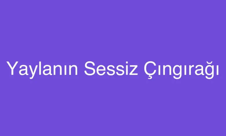 Yaylanın Sessiz Çıngırağı