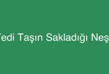 Yedi Taşın Sakladığı Neşe