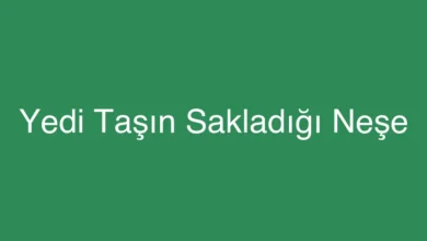 Yedi Taşın Sakladığı Neşe