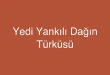 Yedi Yankılı Dağın Türküsü