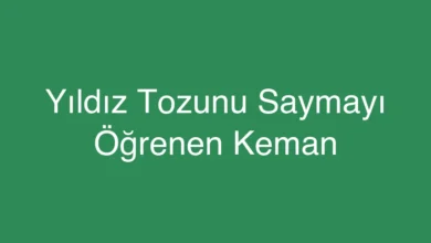 Yıldız Tozunu Saymayı Öğrenen Keman