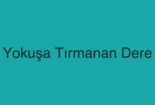 Yokuşa Tırmanan Dere