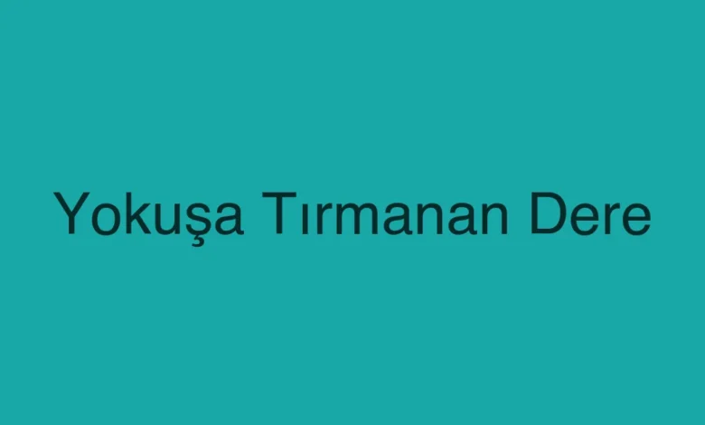 Yokuşa Tırmanan Dere