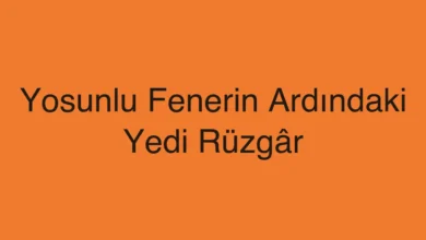 Yosunlu Fenerin Ardındaki Yedi Rüzgâr