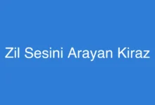 Zil Sesini Arayan Kiraz